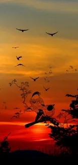 Silhouetted birds against a vibrant orange sunset sky.