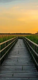 Discover tranquility on a wooden boardwalk at sunset amidst vibrant grasslands.