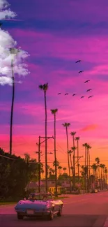 Vibrant sunset with palm trees and street view.