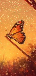 A butterfly resting on a twig with a warm orange sunset background.