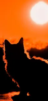 Cat silhouette against an orange sunset sky, perfect for mobile wallpaper.