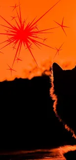 Cat silhouette at sunset with orange sky.