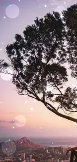 Silhouette of a tree against a sunset cityscape.