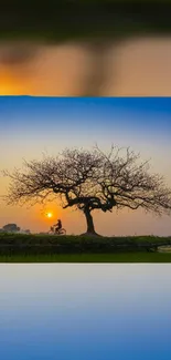 Cyclist under a tree at sunset in nature, showcasing serenity and adventure.