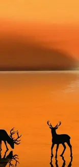 Deer silhouettes against an orange sunset reflected in calm water.