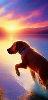 Dog wading in sunset-lit lake with colorful sky reflections.