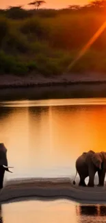 Elephants walking by a sunlit lake at sunset, reflecting serene beauty.