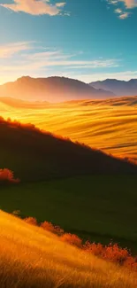 Golden fields and hills at sunset.