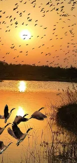 Flock of birds flying over a sunset-lit lake.