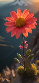 Vibrant pink flower under sunset on mountain in serene nature scene.