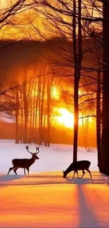 Deer in a snowy forest at sunset with glowing orange sky.