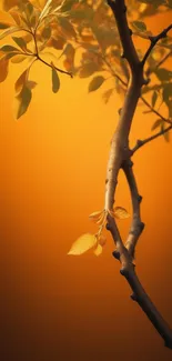 Golden branch with leaves against orange background wallpaper.