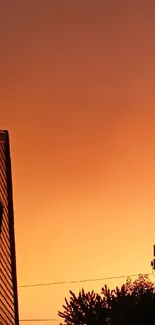 Orange sunset sky with silhouetted trees and building.