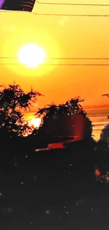 Beautiful sunset with trees silhouetted against an orange sky.