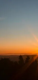 Beautiful sunset horizon with trees silhouette and vibrant orange sky.