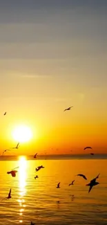 Golden sunset with birds over peaceful ocean.