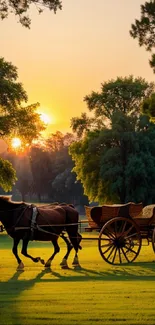 Horse carriage rides into sunset in lush green landscape.