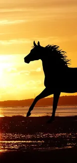 Silhouette of two horses galloping against a vibrant orange sunset on a beach.