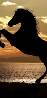 Horse silhouette at sunset over the ocean.