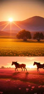 Sunset view with horses and blooming fields.