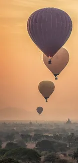 Hot air balloons float over a sunset landscape.