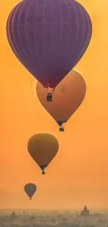 Hot air balloons float at sunset over a scenic landscape.