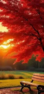 A serene park scene with a bench under red autumn leaves at sunset.