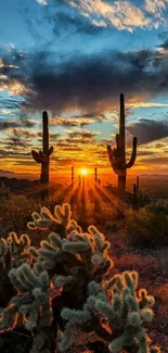 A breathtaking sunset over a desert with silhouetted cacti and vibrant orange sky.