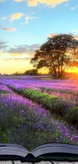 Mobile wallpaper of a sunset over lavender fields with a tree silhouette.