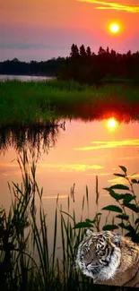 Mobile wallpaper of a sunset over a lake with a tiger reflection.