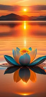 A blue lotus on a calm lake at sunset with orange reflections.