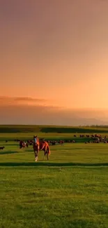 Sunset meadow with a horse under orange sky.