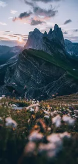 Scenic sunset over rugged mountain peaks with wildflowers in the foreground.