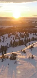 Winter mountain sunset with snowy trees and golden sky.