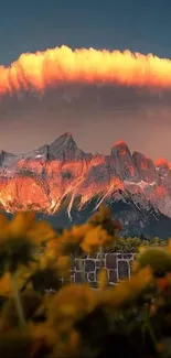 Sunset mountains with cloud and flowers foreground.