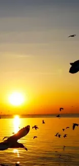 Sunset over ocean with birds in flight.