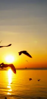 Serene ocean sunset with birds silhouetted against the orange sky.