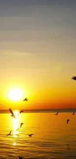 Golden sunset over ocean with flying birds wallpaper.