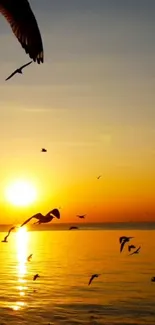 Golden sunset over ocean with birds flying in silhouette.