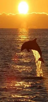 Dolphin leaping through ocean at sunset with golden sky.