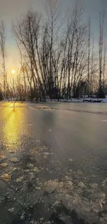 Sunset over frozen lake with silhouetted trees.