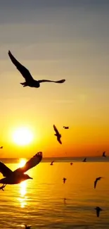 Birds flying at sunset over a quiet ocean beach.