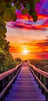 Sunset over a boardwalk leading to the ocean, surrounded by vibrant foliage.