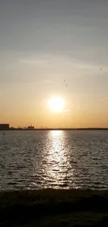 A serene sunset over calm water with golden reflections.