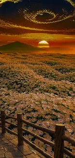 Beautiful sunset over a field of daisies with an orange sky and wooden fence.