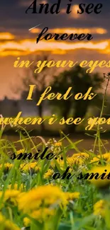 Sunset with motivational text over a field of yellow flowers.