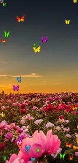 Beautiful sunset over a pink peony flower field.