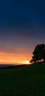 Serene sunset over green hills and a lone tree silhouette.