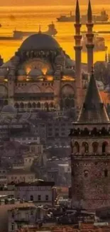 Istanbul skyline with sunset hues and historic architecture.