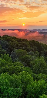 Serene sunset landscape over lush green forest with vibrant sky.